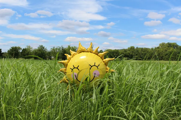 Veel mensen worden blij van de zon.